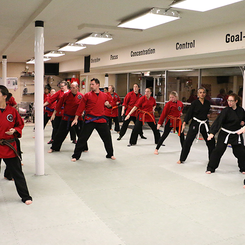 action karate karate classes and martial arts