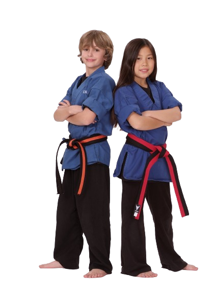 How Karate Boosts Emotional Health in Teens: A Guide for Parents