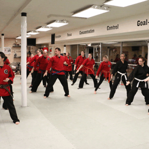 elite karate class in PA